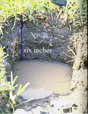six-inch depth hole exposing high water table